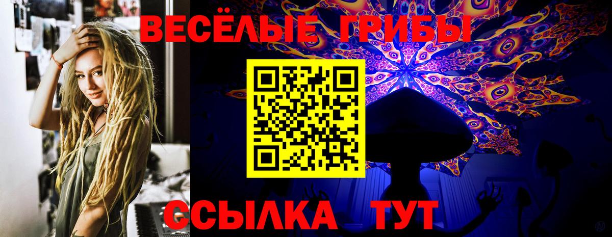 Галлюциногенные грибы прущие грибы Кировск