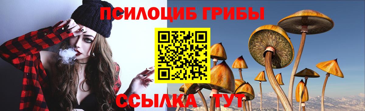 Кировск  Галлюциногенные грибы мухоморы  Вход с VPN  Галлюциногенные грибы Magic Shrooms 